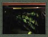 Projected Light Ghosts